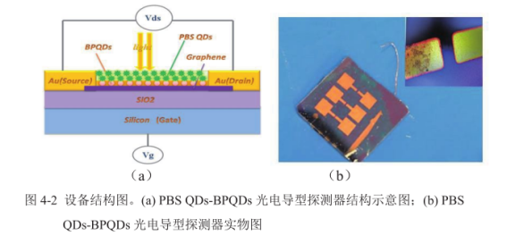 硫化铅量子点功能化黑磷量子点(PbSQDs-BPQDs)复合材料的制备及其结构的横截面图表征
