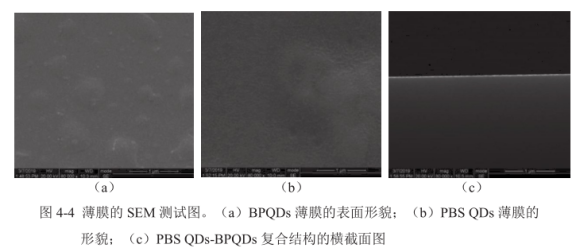 硫化铅量子点功能化黑磷量子点(PbSQDs-BPQDs)复合材料的制备及其结构的横截面图表征
