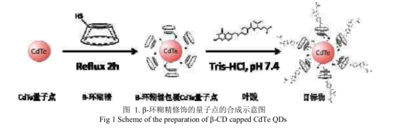 环糊精修饰碲化镉CdTe量子点分散性较好形状近似球形直径大约4nm|供应