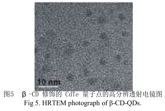 环糊精修饰碲化镉CdTe量子点分散性较好形状近似球形直径大约4nm|供应