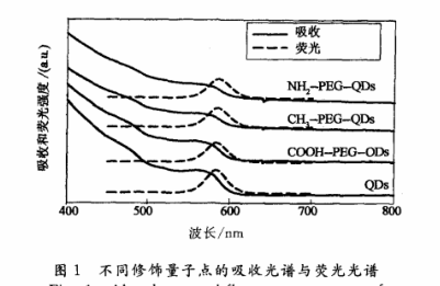 氨基聚乙二醇衍生磷脂修饰的量子点(NH2-PEG-QDs)定制服务