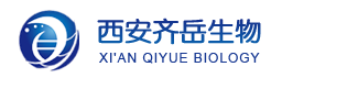 cas:83294-30-8 Zn(TCPP) 卟啉MOF材料，金属卟啉 科研常用试剂