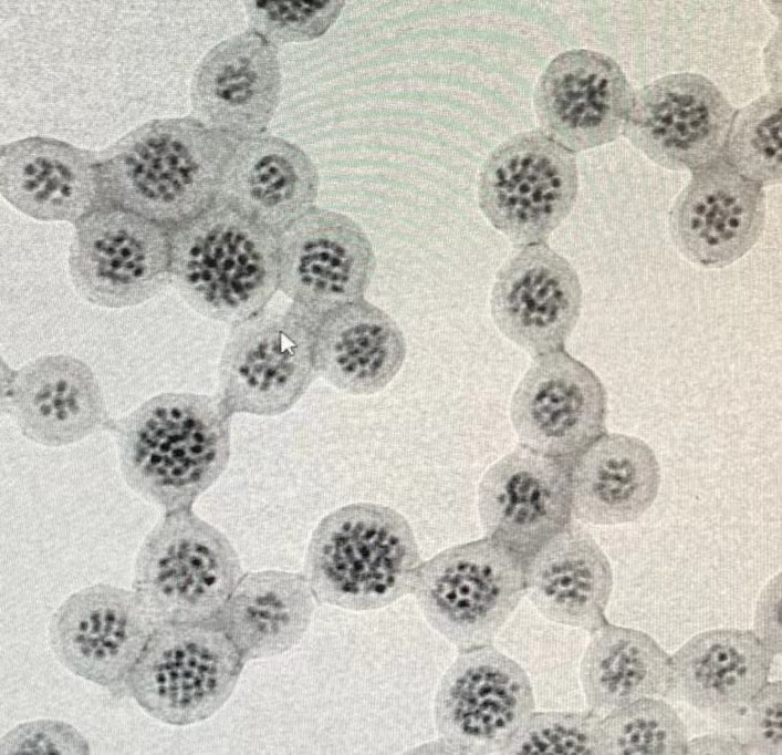 荧光纳米微球| 聚合物包裹的量子点（量子点可以定制成不同的发射波长，不同颜色的波长）