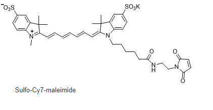 CAS:1422279-40-0|水溶cy7-MAL|Sulfo-Cy7 maleimide|磺化Cy7-马来酰亚胺的光谱图