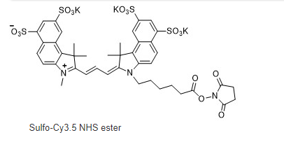 CAS号:2231670-91-8;sulfo-CY3.5(Cyhaiine3.5) NHS ester;磺化Cy3.5-NHS 活化酯 / Sulfo-Cyhaiine 3.5 NHS ester