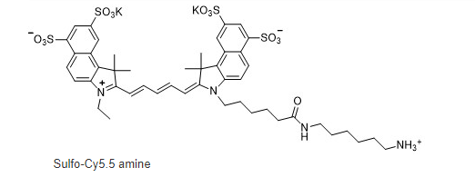 CAS号:2183440-46-0，磺化Cy5.5-伯胺，sulfo-Cyhaiine5.5 amine荧光染料
