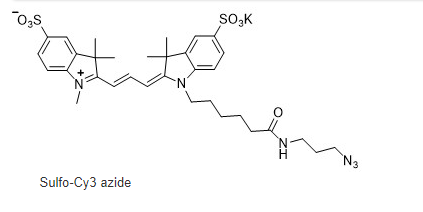 CAS号 : 2055138-89-9|水溶性Sulfo-Cy3 azide|sulfo CY3-N3|Sulfo Cy3 azide的激发与发射波长