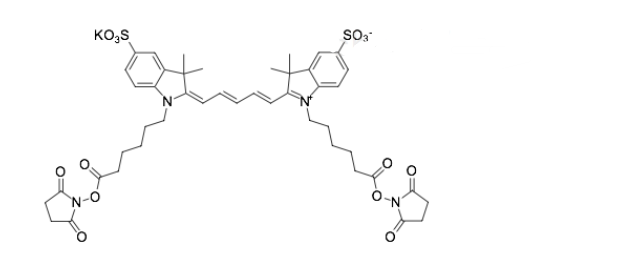 sulfo-Cy5 bis-NHS ester 水溶性荧光染料 用于和氨基的偶联
