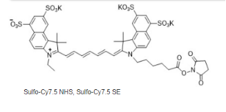 荧光染料Sulfo-Cy7.5 NHS ester，水溶性磺化Cy7.5-NHS 活化酯的激发与发射波长