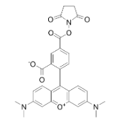 5-TAMRA-SE|cas号150810-68-7|5-羧基四甲基罗丹明琥珀酰亚胺酯