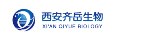 DSPE-PEG2K-β-cyclodextrin|DSPE-PEG2000-环糊精(CD）
