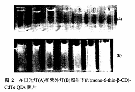 单-(6-巯基)-β-环糊精修饰CdTe量子点(mono-6-thio-β-CD-CdTeQDs)粒径为4nm,荧光量子产率为81.3%