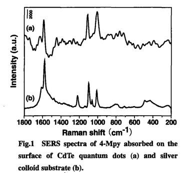 巯基吡啶功能化CdTe量子点的SERS光谱图分析(含CdTe量子点的定制产品)