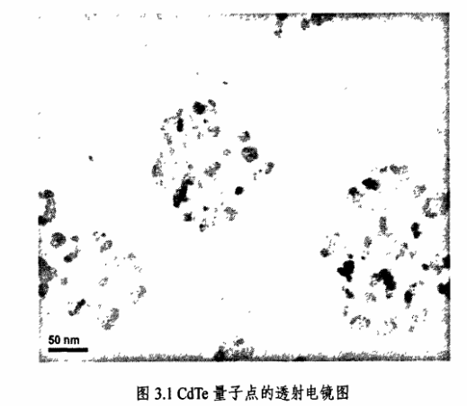 铈Ce掺杂水溶性CdTe量子点的荧光发射峰范围约为540-570nm,颗粒大小约为3-5nm