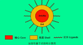 油溶性硒化镉量子点|CdSe@QD|PL480 nm-640nm