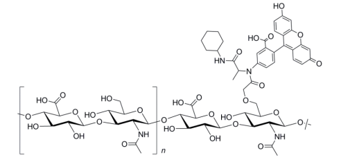 FITC-Hyaluronate|荧光素标记透明质酸分子结构示意图