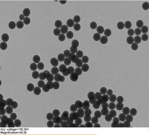 二氧化钛修饰金纳米颗粒|金纳米颗粒修饰的二氧化钛(B)纳米片