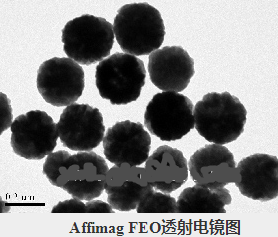 四氧化三铁磁性纳米微球 四氧化三铁磁性纳米微球|Fe3O4 magnetic nhaioparticles磁性微球