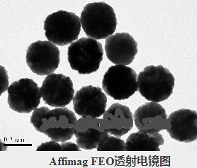 四氧化三铁磁性纳米微球|Fe3O4 magnetic nhaioparticles磁性微球