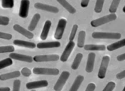 纳米金棒（LSPR：808nm）CTAB/Citrate修饰的金纳米棒，功能性金纳米棒，Protein A Conjugated  Gold Nhaiorods