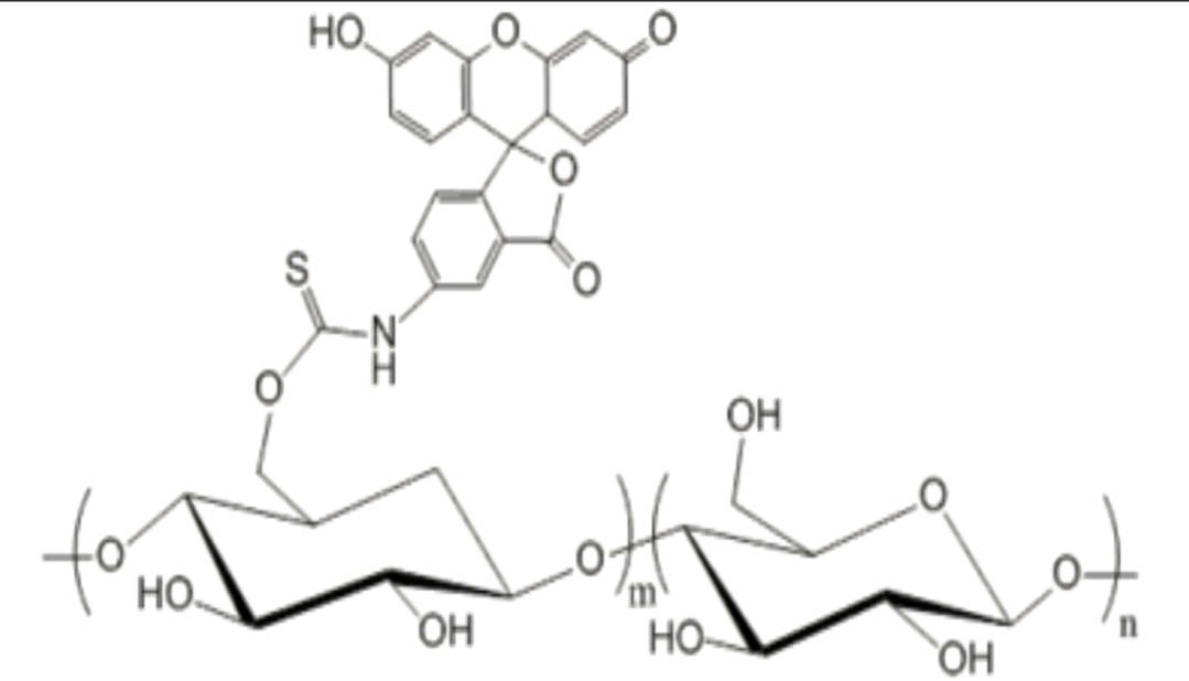 1649412116881396.png Dextrhai-Thiol,MW:40000|Dextrhai-Thiol;Dextrhai-SH;巯基功能化葡聚糖