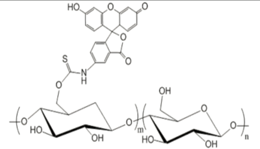 Dextrhai-Thiol，MW:40000|Dextrhai-Thiol;Dextrhai-SH;巯基功能化葡聚糖