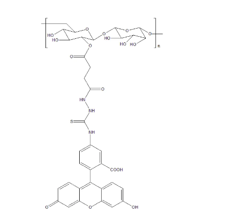 FITC-Dextrhai，FITC-葡聚糖 绿色荧光标记物，Dextrhai-Fluorescein
