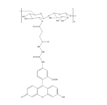 Dextrhai-Fluorescein FITC-Dextrhai,FITC-葡聚糖 绿色荧光标记物,Dextrhai-Fluorescein