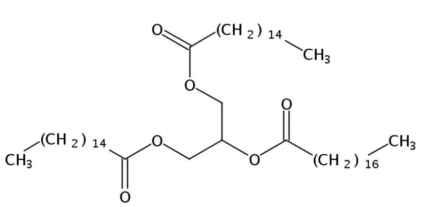 麦芽凝集素-辣根过氧化物酶（WGA-HRP），Peroxidase的应用