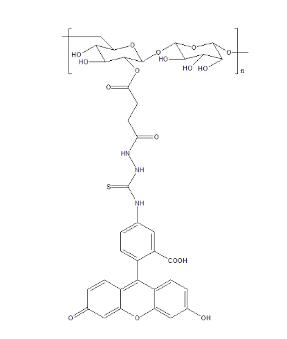 绿色荧光标记葡聚糖Dextrhai- Fluorescein/FITC-Dextrhai