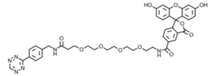 5-FAM-PEG4-Tetrazine也称为5-羧基荧光素-PEG4-四嗪。一种聚乙二醇化的FAM染料