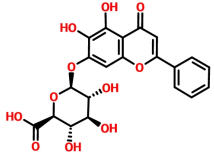 荧光素FITC标记黄芩苷(Wogonoside-FITC)的应用以及相关产品