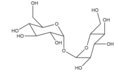 荧光素FITC标记海藻糖，FITC-Trehalose，海藻糖是天然双糖中稳定的一类