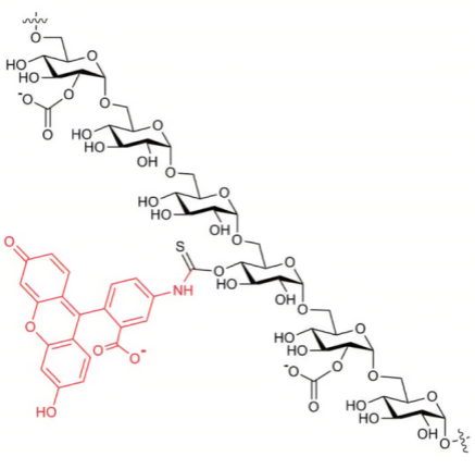 荧光素羧甲基标记葡聚糖，FITC-CM-dextrhai，FITC-Carboxymethyl-dextrhai的应用