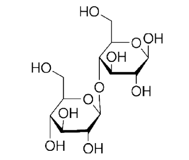 纤维二糖 FCB|Fluorescein di-beta-D-cellobioside|荧光素-β-D-纤维二糖的应用以及相关产品