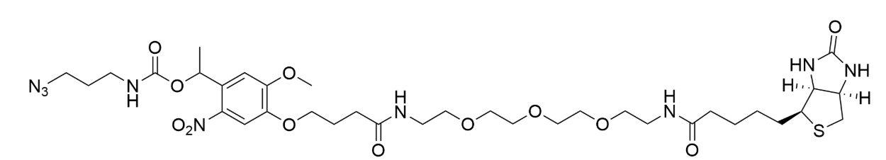 PC Biotin Azide是一种叠氮化物激活的可光解生物素探针