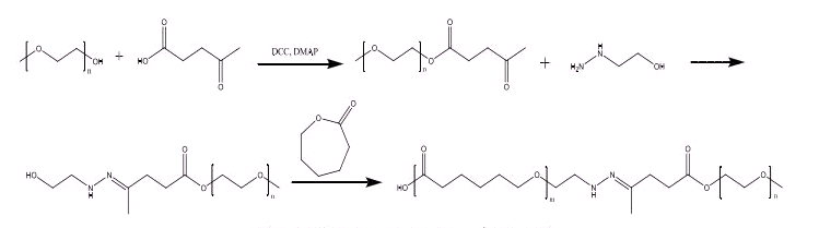 PEG5K-PLGA3K-PNIPAm3K/聚乳酸-羟基乙酸-聚乙二醇--PNIPAm