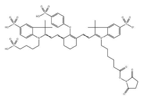 IR 800CW NHS, cas:956579-01-4, IRDye800NHS, IR800NHS活性脂, IR800琥珀酰亚胺酯活性脂