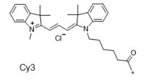 Cy3花氰染料 CAS:1284240-77-2  Cyhaiine3.5荧光染料