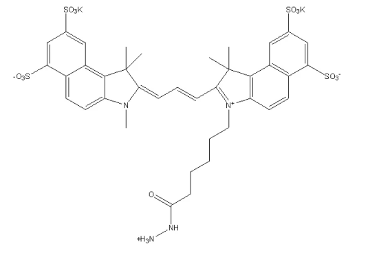 Sulfo-Cyhaiine3.5 hydrazide；Sulfo-Cy3.5 hydrazide;Sulfo-Cy3.5 HZ;水溶性Cy3.5 HZ酰肼的注意事项