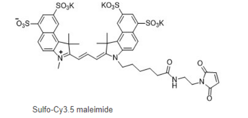 Sulfo-Cyhaiine3.5 maleimide；水溶性CY3.5-马来酰亚胺；Sulfo-Cyhaiine3.5 maleimide；Sulfo-Cy3.5 Mal 荧光染料