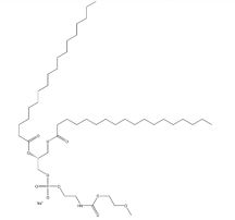 DSPE-mpeg|二硬脂酰磷脂酰乙酰胺-甲氧基聚乙二醇|147867-65-0