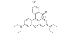 烯丙基罗丹明Bcas:81-88-9 (罗丹明B(Rhodamine B) CAS: 81-88-9)