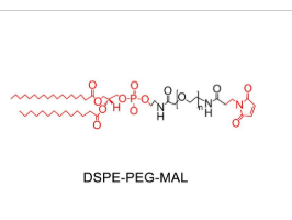 DSPE-PEG2000-MAL  二硬脂酰磷脂酰乙醇胺-聚乙二醇-马来酰亚胺