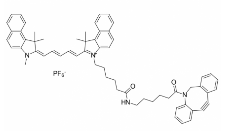 Cyhaiine5.5 DBCO | Cy5.5-DBCO | 花青素CY5.5二苯基环辛炔 | cas:2643308-61-4 荧光染料