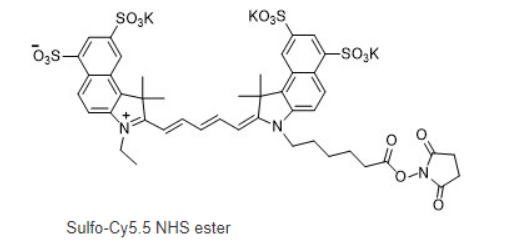 Sulfo-Cyhaiine5.5 NHS ester | cas:2419286-92-1 | 磺酸化水溶Cy5.5 NHS | 水溶Cy5.5-NHS 活化酯荧光染料