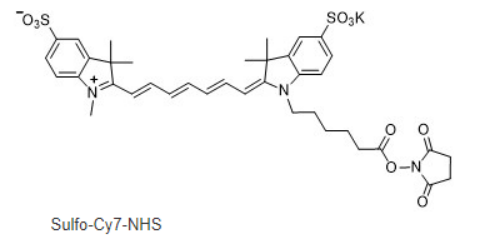 Sulfo-Cyhaiine7 bis-NHS ester；Sulfo-CY7-NHS ester; 水溶性Cy7 NHS; 水溶Cy7-SE染料; 水溶性CY7活化酯 荧光染料