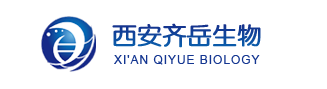 Cyhaiine7.5 alkyne | Cy7.5 alkyne | Cy7.5-ALK | Cy7.5-炔烃 荧光染料的ex/em激发与发射波长