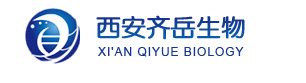 Cyhaiine7.5 amine;Cy7.5 amine;Cy7.5-NH2;Cy7.5-氨基伯胺;cas:2104005-17-4 荧光染料的激发与发射波长