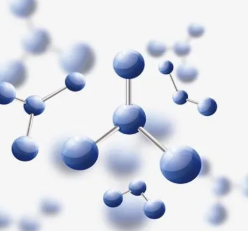 琼脂糖结合双孢蘑菇凝集素(ABL);Agarose bound-ABL，Agarose bound Agaricus Bisporus Lectin (ABL)